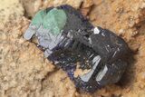 Azurite and Malachite Crystal on Matrix - Morocco #215041-1